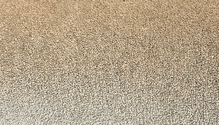 550cm X 130cm Remnant